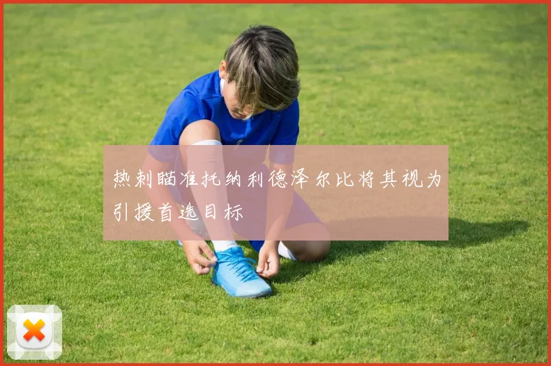 热刺瞄准托纳利德泽尔比将其视为引援首选目标