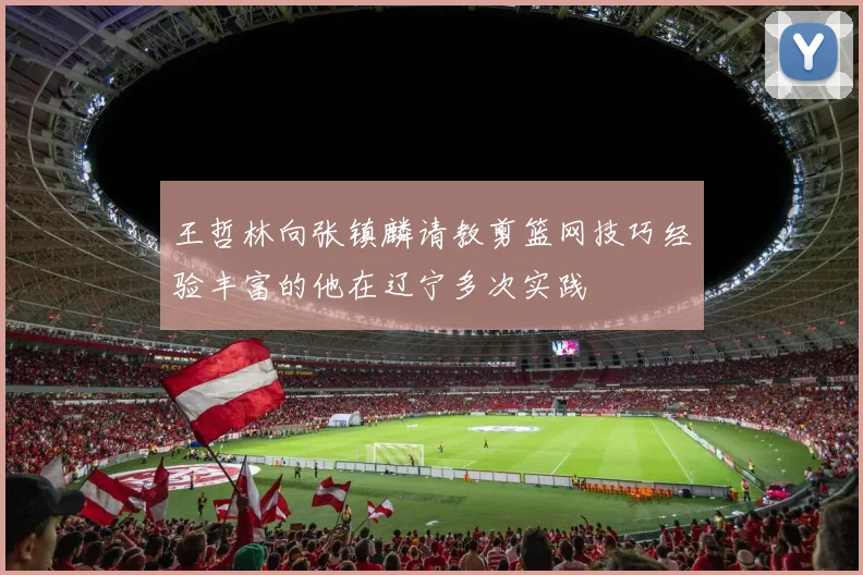 王哲林向张镇麟请教剪篮网技巧经验丰富的他在辽宁多次实践