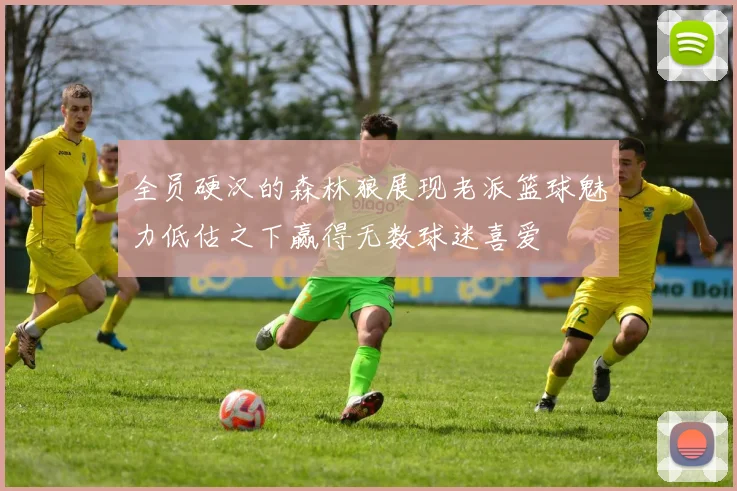 全员硬汉的森林狼展现老派篮球魅力低估之下赢得无数球迷喜爱